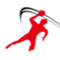 Handballclubs Glarus