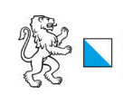 Informatik Prüfungskommission PK19