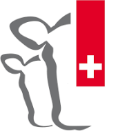 Mutterkuh Schweiz
