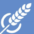 KM Commodities AG