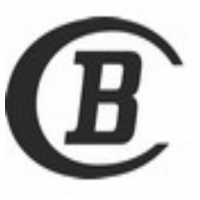 Bauknecht AG