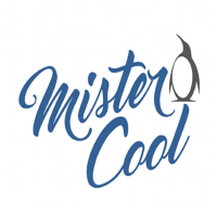 Mister Cool