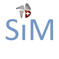 Swiss Interim Management GmbH