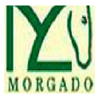 Morgado Lusitano