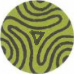 Norfolk Elektronik AG