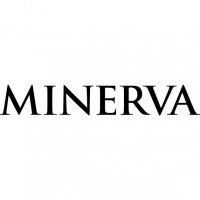 Institut Minerva Zürich AG