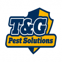 T&G Parkett Handel
