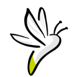 Luciole Medical AG
