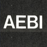 E. Aebi AG