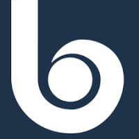 Borgers SE & Co. KGaA