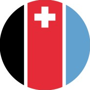 Rotzinger Group