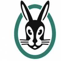 Vaillant Group