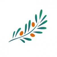 ST & Partners