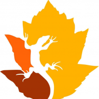 Verein Naturnetz