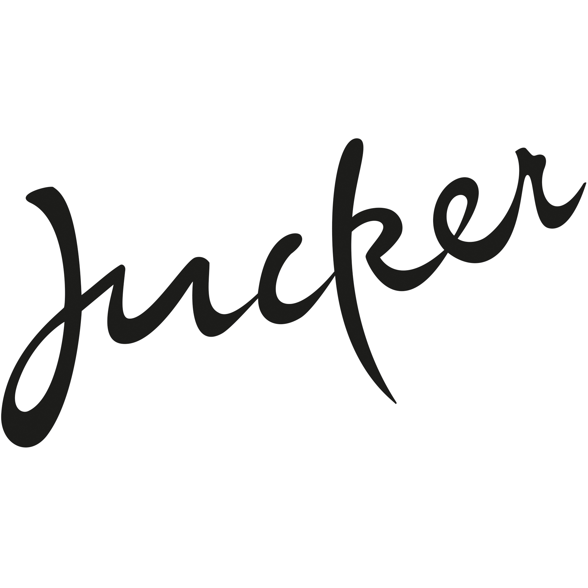 Jucker Farm AG