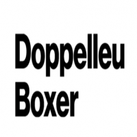 Doppelleuboxer AG