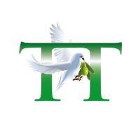EastTravel & Trading AG