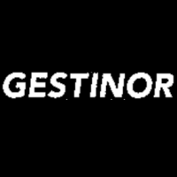 Gestinor AG