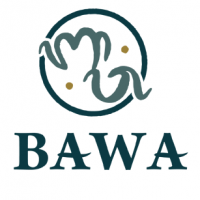 Bawa Tours & Travel GmbH