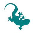 Data Lizard