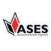 ASES - Aesoria de estudios superiores