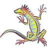 Iguana Marketing AG