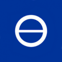 Federal Mogul
