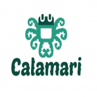 Calamarii Webdesign