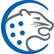 Direct Mail Company AG