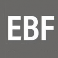 EBF-Systec GmbH