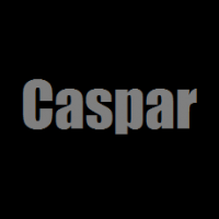 Günther Caspar Foundation