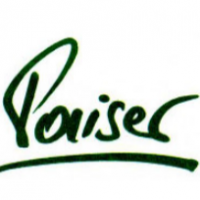 Paiser-Werbung Gesellschaft m.b.H. & Co. KG