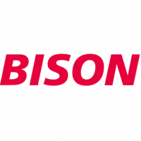 Bison IT Services AG