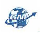 GNI Global Net International AG