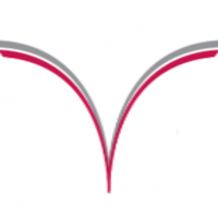 Singularity Software AG