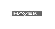 Hayek Engineering AG