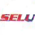 Selu Consulting GmbH