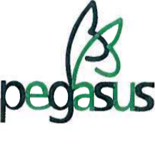 Stiftung Pegasus
