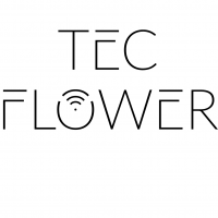 Tecflower AG (derselbe CEO wie Swissitmanagement)