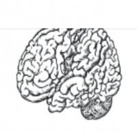 BrainStore AG