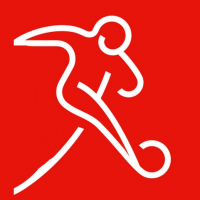 Schweizerischer Fussballverband