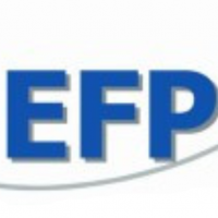 EFP Consulting AG