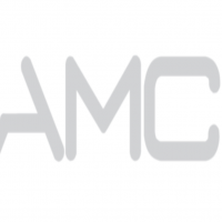 AMC Bridge LLC