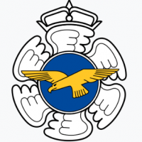 Finnish Air Force