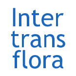 Intertransflora AG