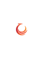 Phoenix Systems AG