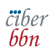 Ciber-BNN