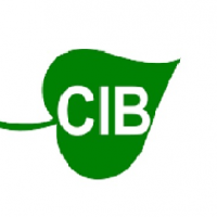 CIB Holz GmbH