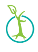 Aiducation International