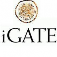 IGATE Global Solutions Ltd.